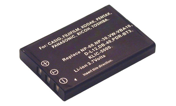 VW -VBA10 Battery